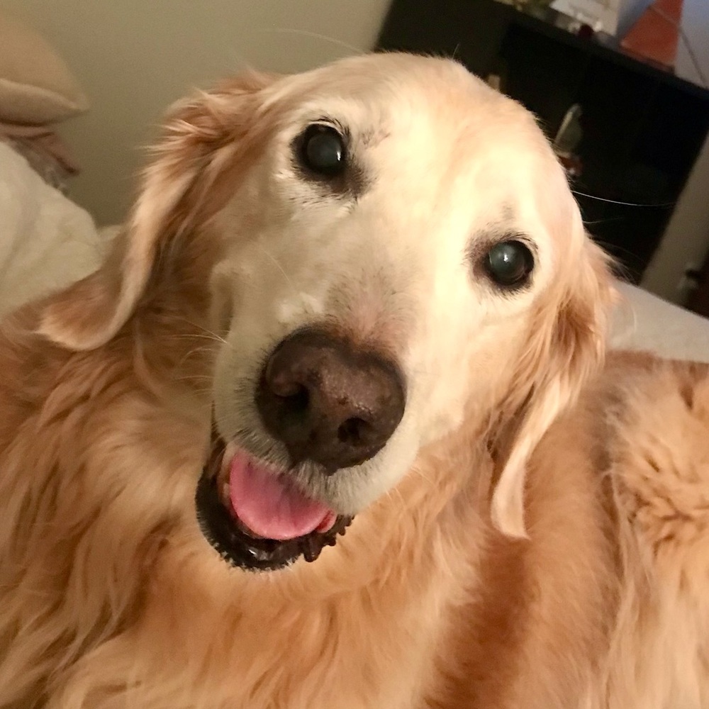 Meet your Posher, Pamela